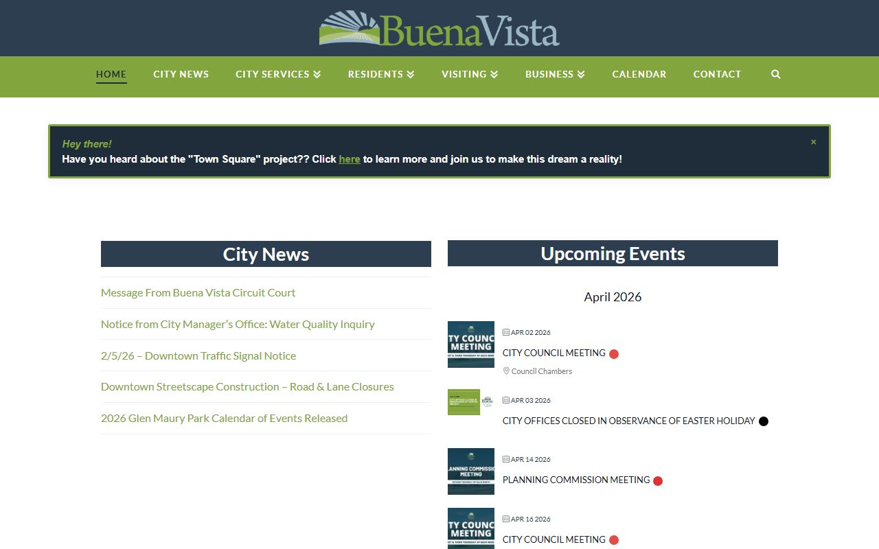 Buena Vista background check